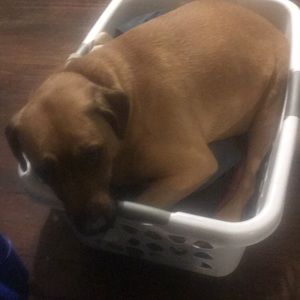 Meet your Posher, Ericia